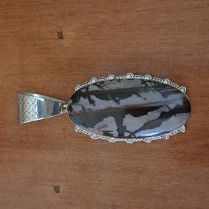 Jay King Sterling Russian Agate (Mine Find!) Pendant